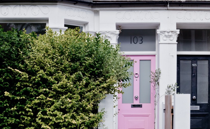 La casa de la puerta rosa / The pink door&nbsp;house