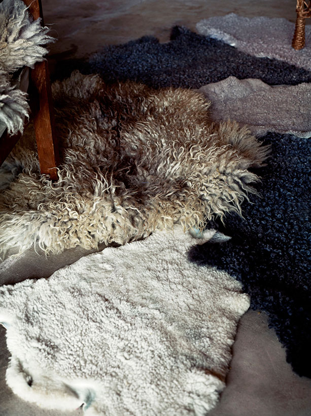 Diferentes pieles como alfombras / Different sikn tiped carpets