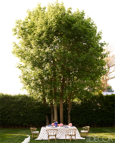 y por último el precioso jardín / and last, the beautiful garden