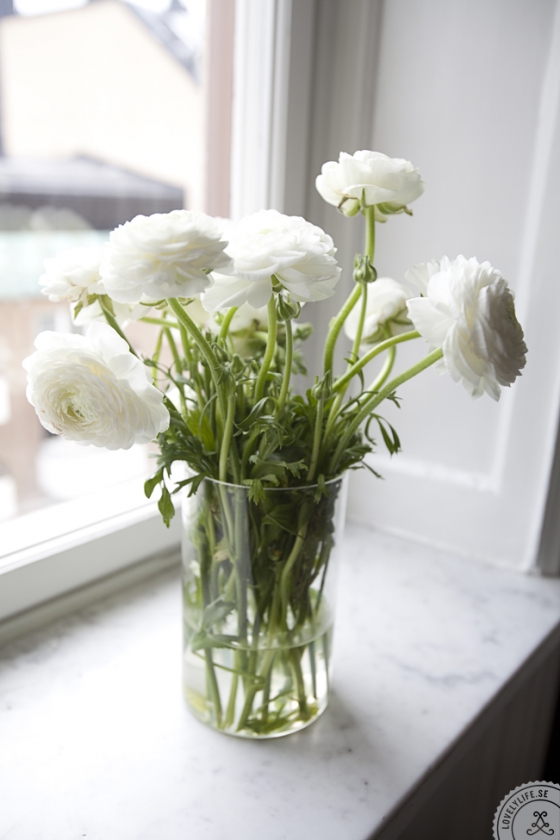 Detalle de dalias en la repisa de la ventana.
