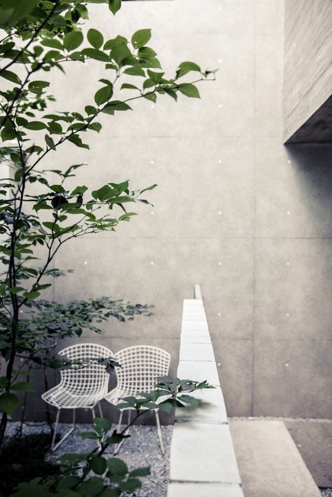 Una vista del jardín.